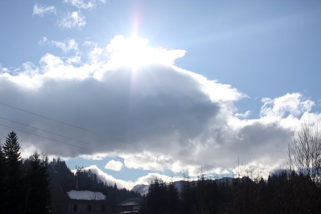 daphschnee7.jpg