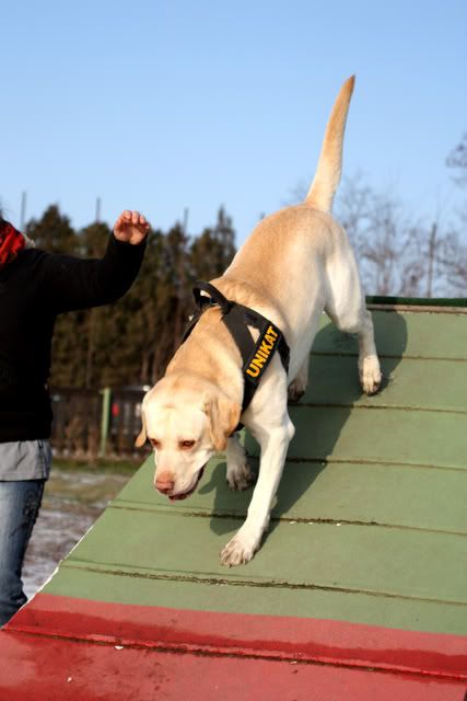 huschuli7.jpg