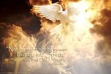 doveScripture.jpg image by crdulworth