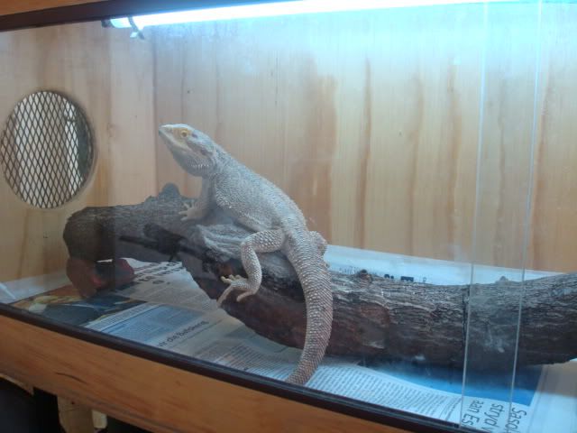 DSC01670.jpg