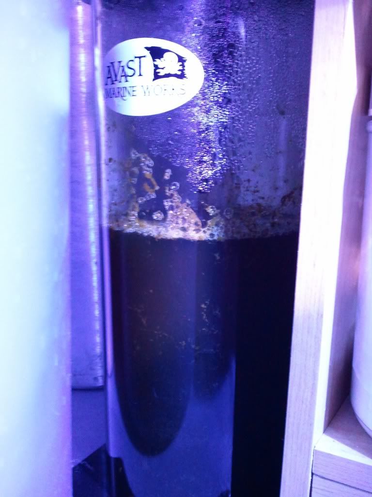 2011-12-27134335.jpg
