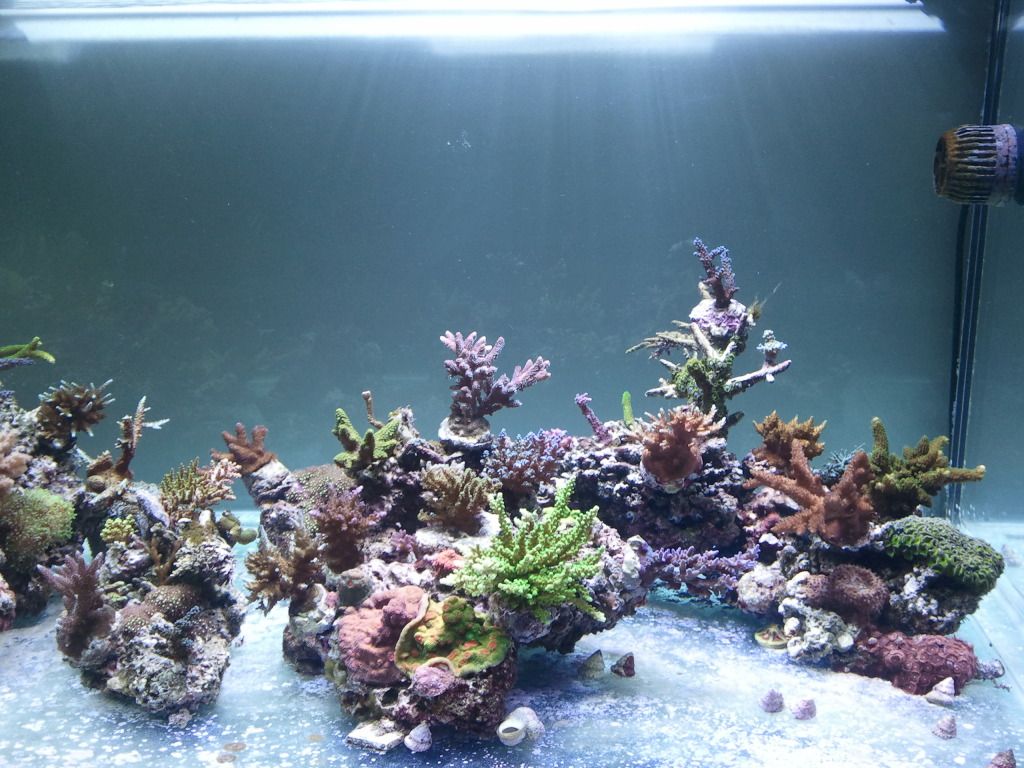 330Reef_Right_9Dec2012.jpg