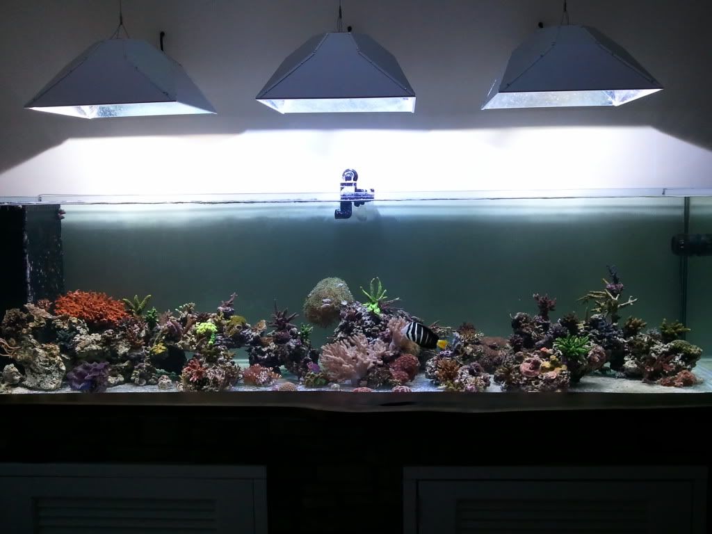 330gal_27Sept2012.jpg