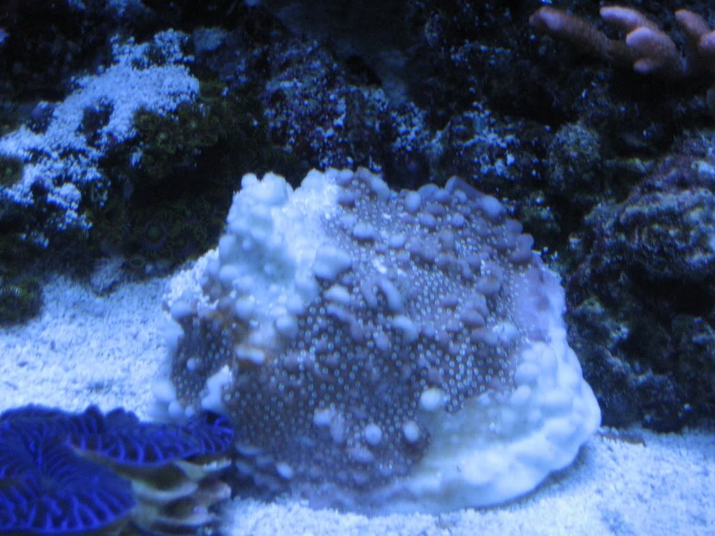 camera1-15-2010364.jpg