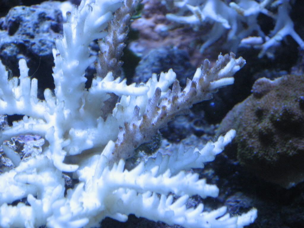 camera1-15-2010365.jpg