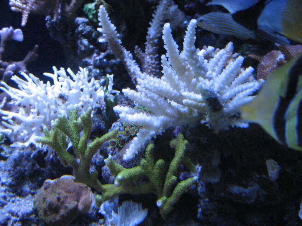 camera1-15-2010366.jpg