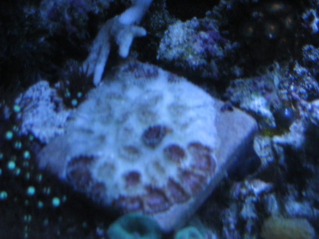 camera1-15-2010367.jpg