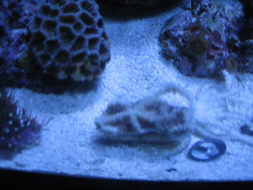camera1-15-2010368.jpg