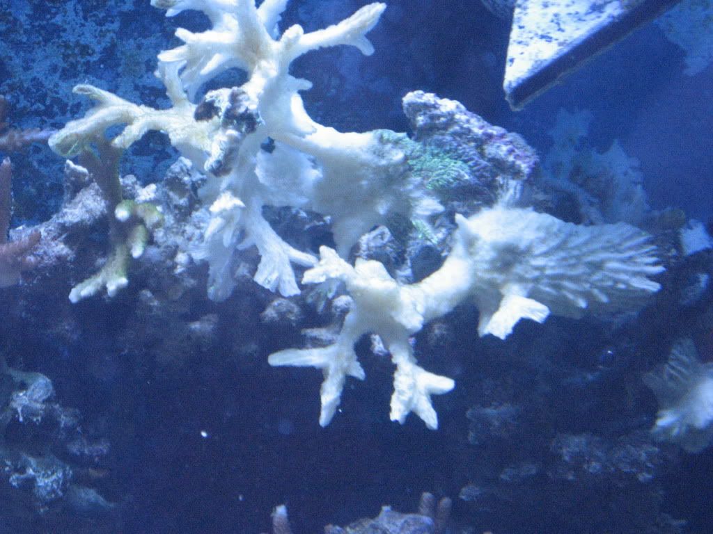 camera1-15-2010370.jpg