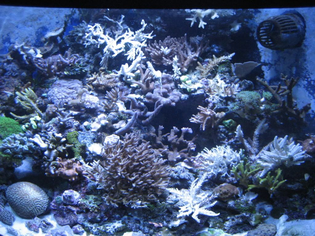 camera1-15-2010371.jpg