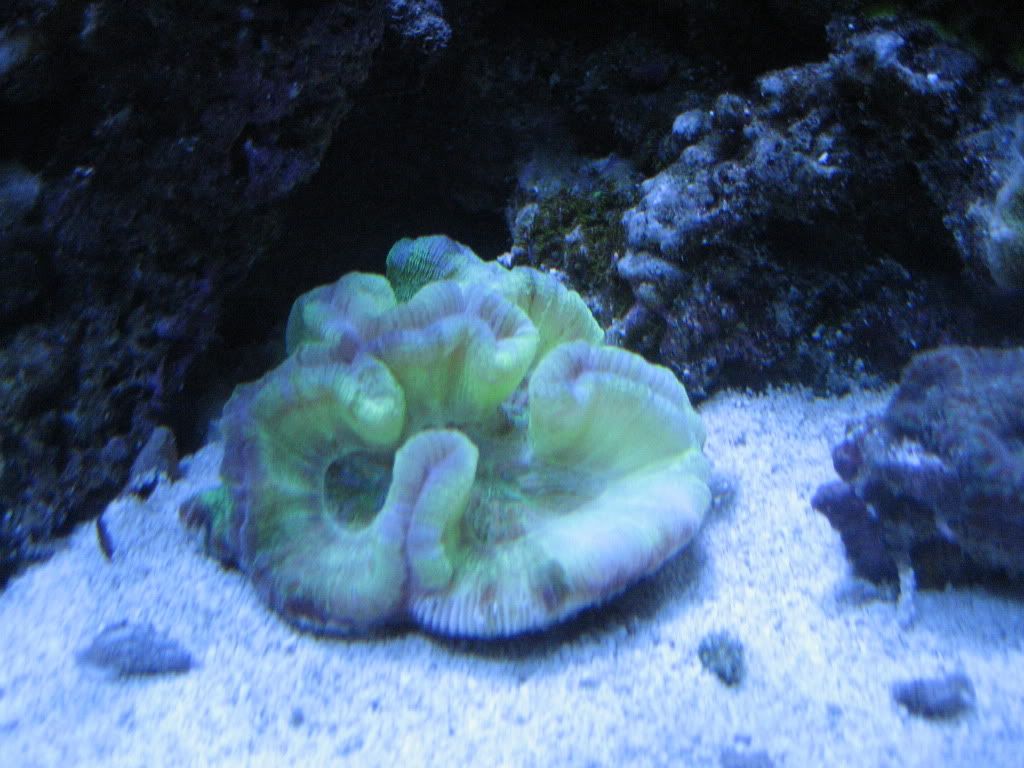 camera1-15-2010372.jpg