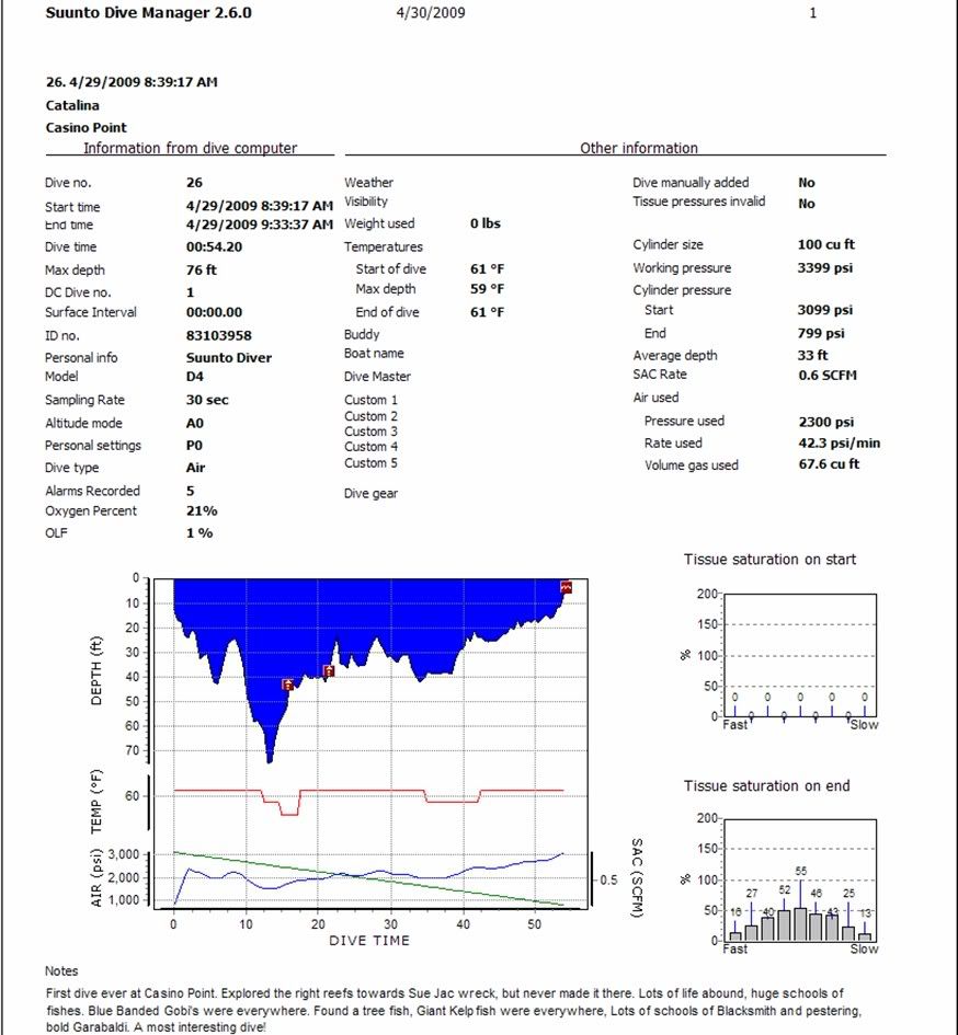 1rstdiveCasinoPointProfile.jpg