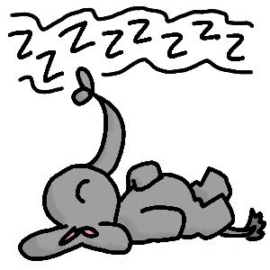 sleepy elephant Pictures, Images and Photos