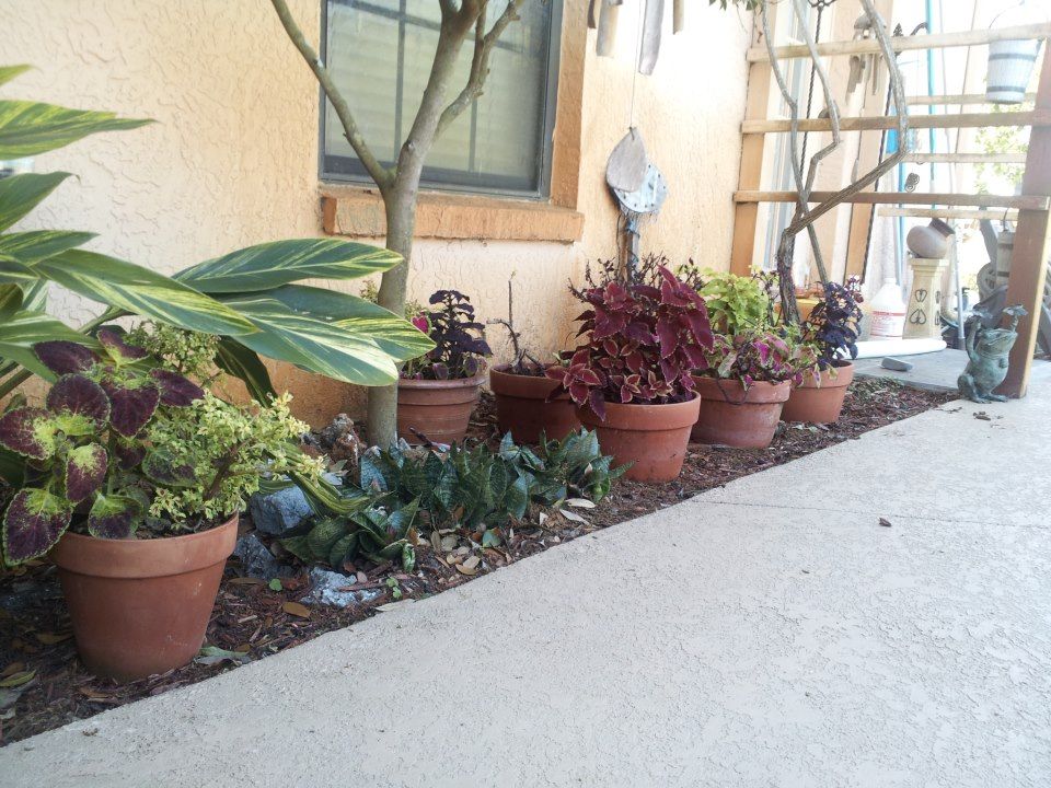  photo 862185_10200882854863116_157039672_n_zpsc0fb16b8.jpg