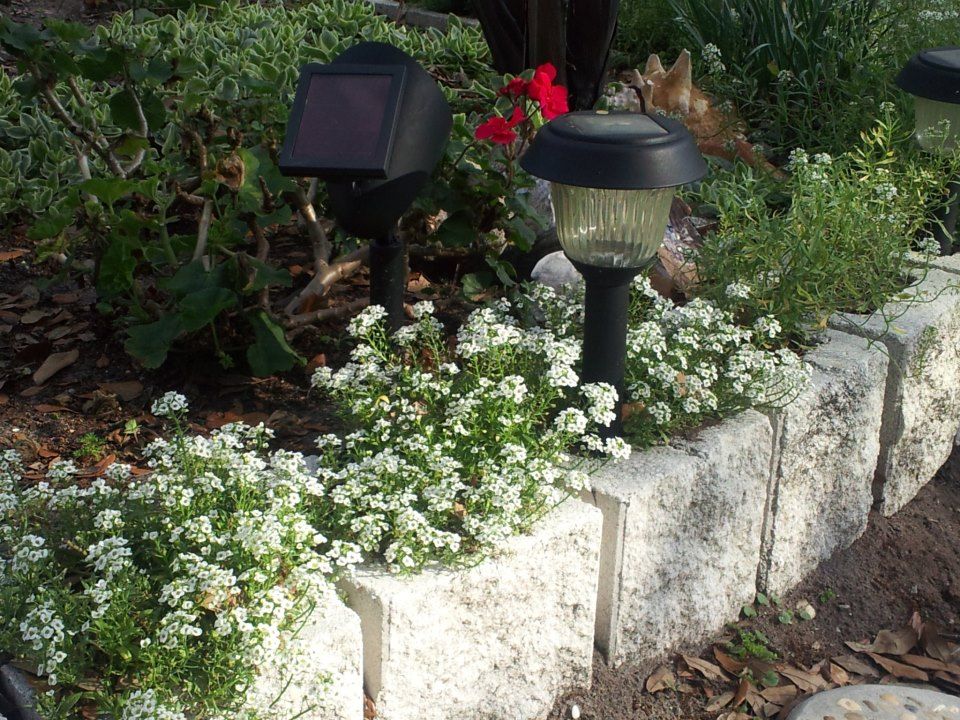  photo 862915_10200774085543951_1113593192_n_zps6433fe03.jpg