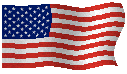 usa_flag.gif image by patricia_123_2008