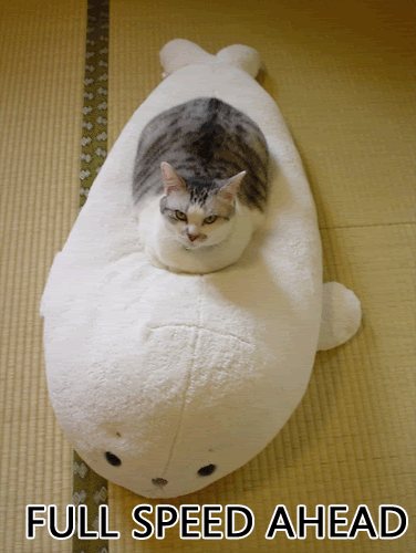 Submarinecat.gif