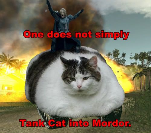 tank-cat.jpg
