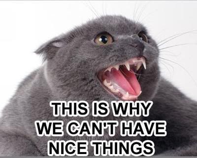 thisiswhywecanthavenicethings.jpg