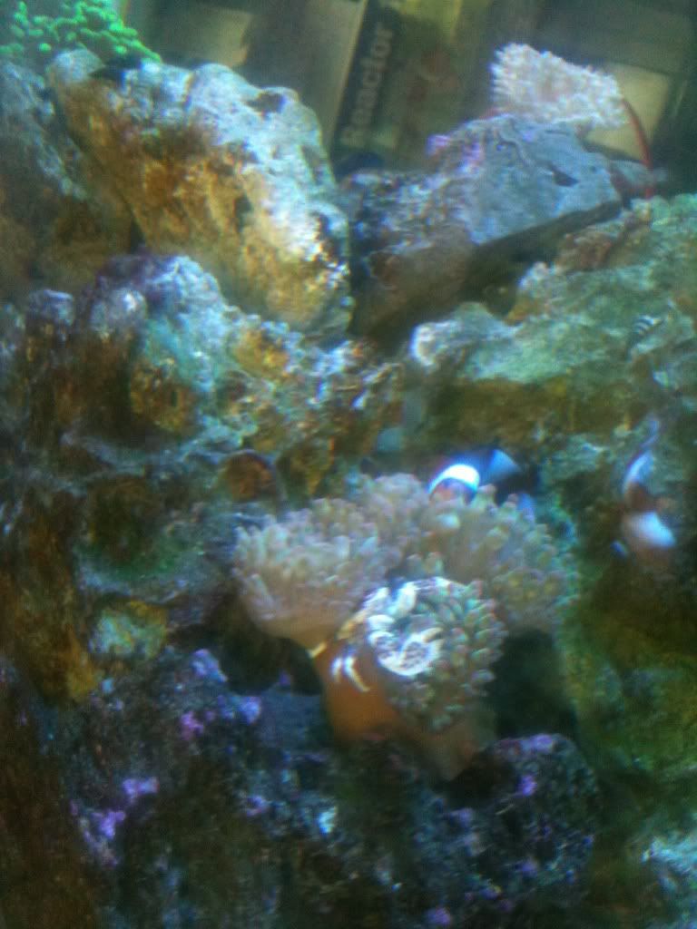 6c873150.jpg