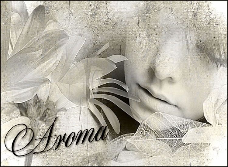 AROMA.jpg picture by UNSUENOGAVIOTA