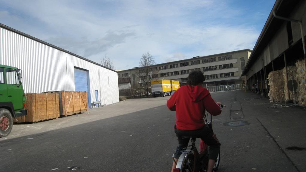 Bild