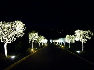 IMG_0824.jpg