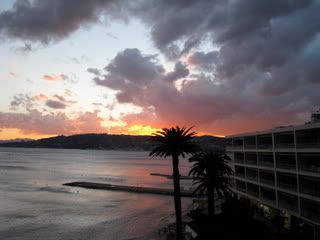 IMG_0859.jpg