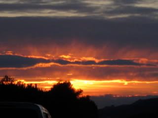 IMG_0906.jpg