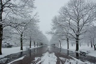 DSC_0043.jpg