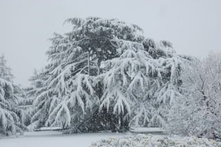 DSC_0045.jpg