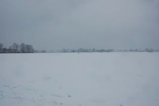 DSC_0103.jpg