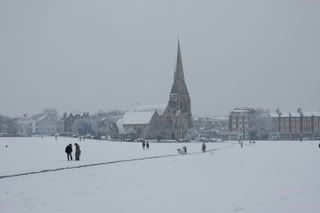 DSC_0115.jpg