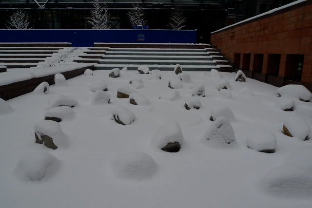 L1000504.jpg