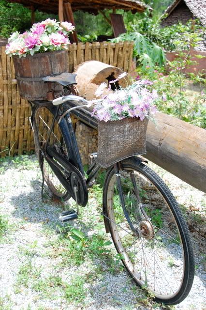 Bicycle flower pot