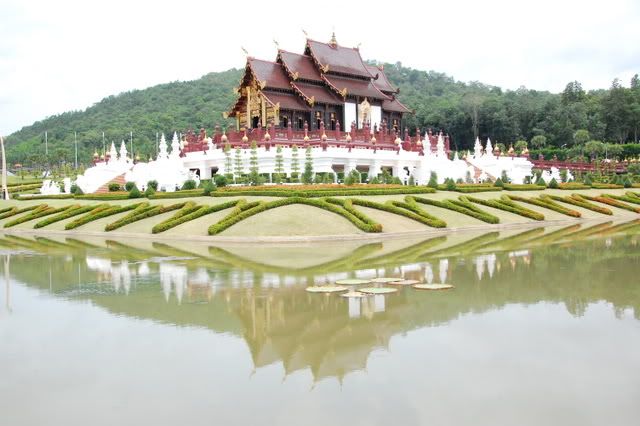 DSC_0972.jpg