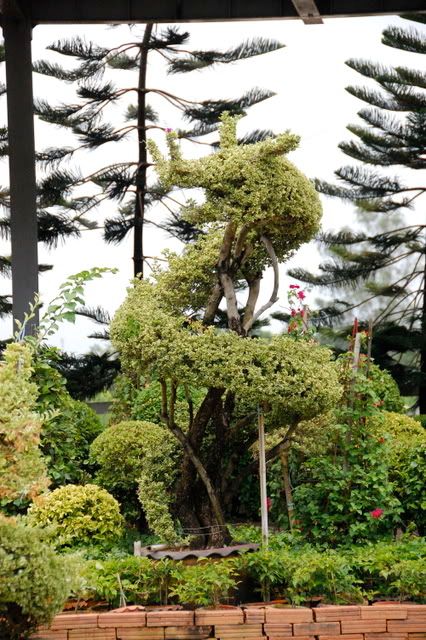 DSC_1017.jpg