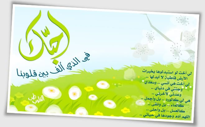 islamic Pictures, Images and Photos