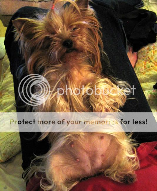 Candy Pictures, Images and Photos