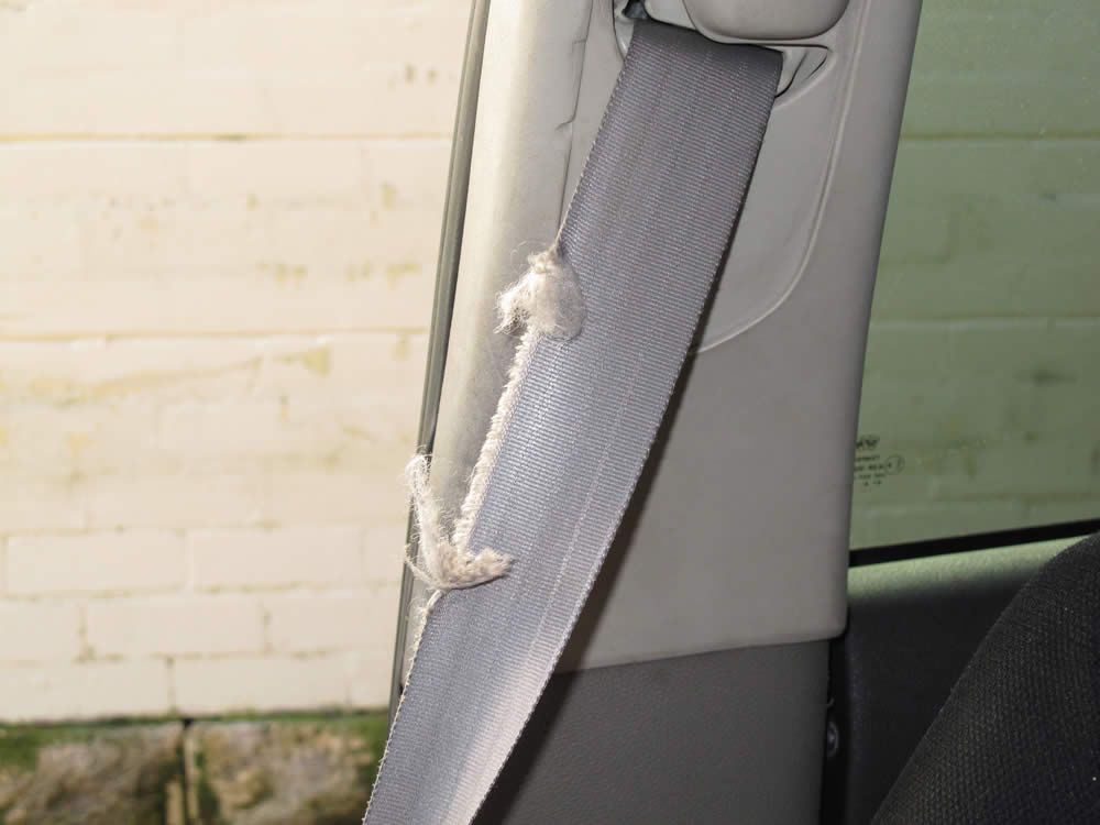 7 Best How To Replace A Seat Belt Work
