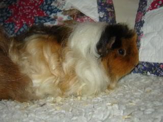 DSC01463-1.jpg