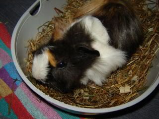 DSC01479.jpg