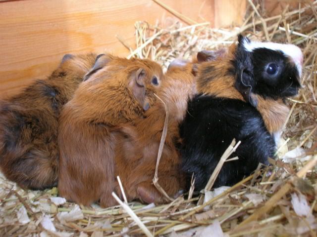 DSCN1176.jpg