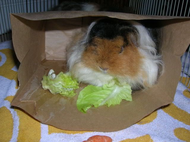 DSCN1453.jpg