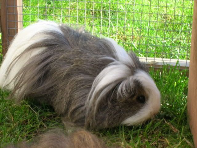 DSCN1480.jpg