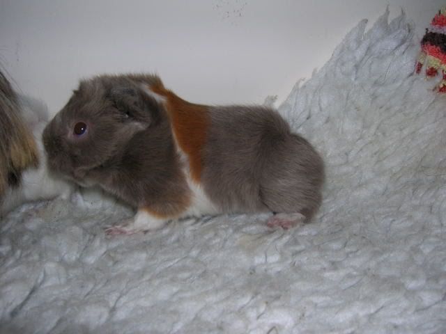 DSCN1490.jpg