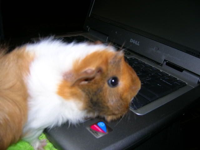 DSCN1495.jpg