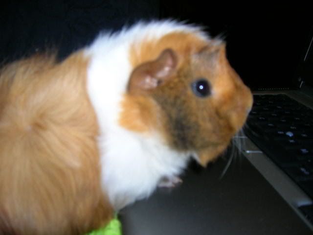 DSCN1500.jpg