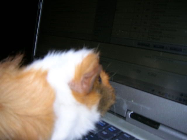 DSCN1503.jpg