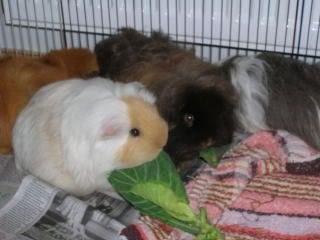 DSCN1518.jpg